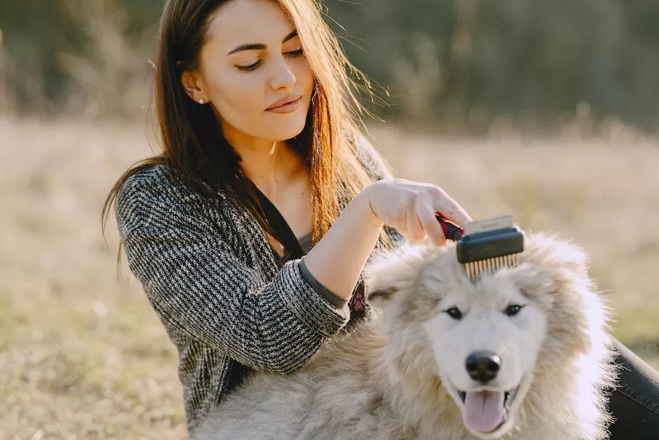 7 Dog Grooming Techniques for Matted Fur_1
